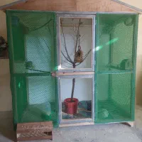 قفس بزرگ نو