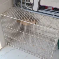 قفس بزرگ و ضخیم پرنده