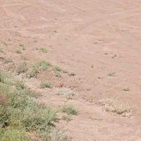 زمین انتهای بلوارنخل
