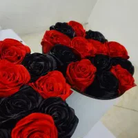 انواع سفارشات پذیرفته میشود...