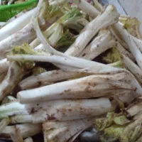 کنگر|گل و گیاه طبیعی|فرخ‌شهر, |دیوار