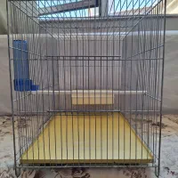فروش قفس