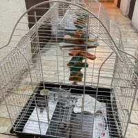 قفس پرنده