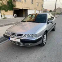زانتیا تمیز درحد