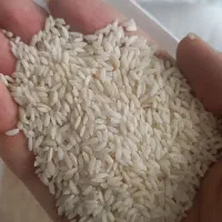 برنج عنبربو عمده