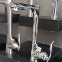 ستشیرآلات برگ