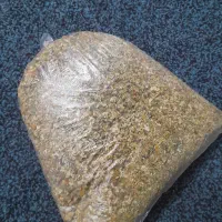 گل بابونه