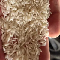 برنج هاشمی اصلاح شده درجه یک
