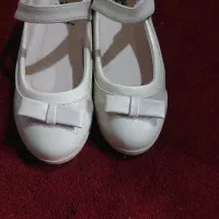 کفش مجلسی