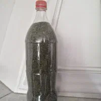 نعنا خشک امساله وخانگی