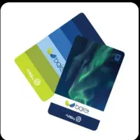 ک ا لا پی  ب ا ج ت م ه رب آن ی