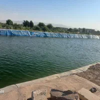 انفجار-قیمت