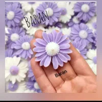 شمع زیبای بابونه .شناور روی آب