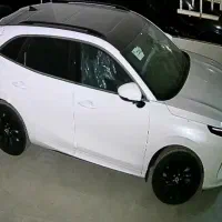 لاماری سفید خشک