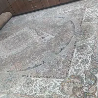 دو عدد قالی ۱۲ متری
