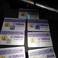 YDP165