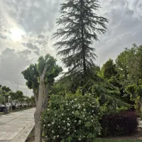 تور خانوادگی و دوستانه شمال