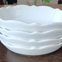 یازده عدد ظروف مرغ خوری و سالاد خوری