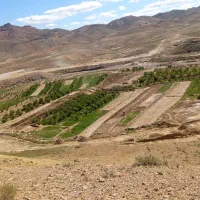 زمین-کشاورزی-معصوم-آباد