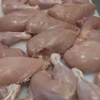 مرغ ران سایز شینسل فیله باریک فروش ویژه عید غدیر