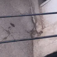 فرغون مخصوص علفهای هرز نخودوچغندر