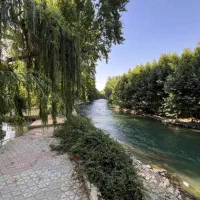 زمین تجاری 2000متری