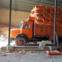 خریدار کاه سرزمین نقدسرباسکول