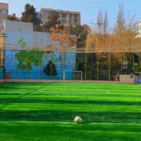 همبازی چمن و سالن