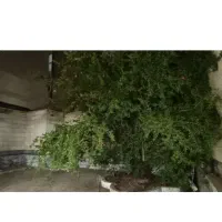 خونه ویلایی۲ خواب