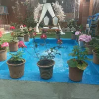 سفره خونه شبستان جشن تولد مجلس