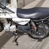 رهرو باکسر