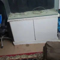 اکواریوم شیشه خم درحد اکبند