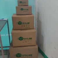 استخدام نیرو خانم و اقا