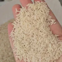 برنج هاشمی درجه یک سورتینگ زده با تضمین پخت