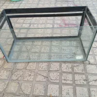 آکواریوم ماهی
