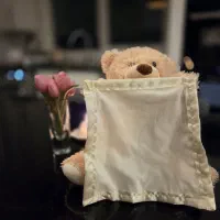 عروسک خرس دالی