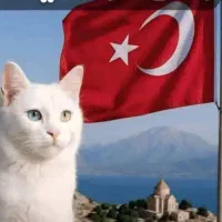 آژانس مسافرتی هواپیمایی