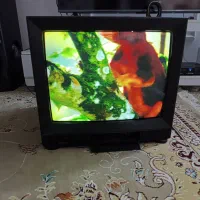 تلویزیون ناسیونال ژاپن