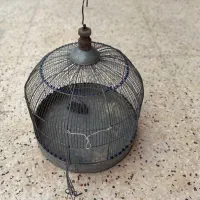 قفس طرقه