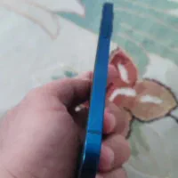 Iphone 12 normal|موبایل|شیراز, شهرک گلستان|دیوار