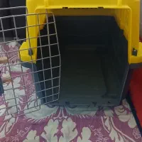 لوازم گربه
