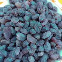 کشمش آفتاب خشک