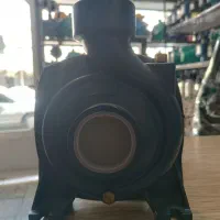 دو اسب دواینچ