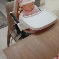 صندلی غذا کودک  peg pegero