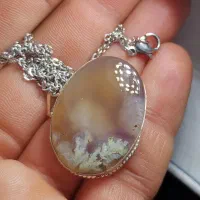 گردنی همه نوع اصل طبیعی
