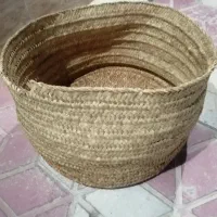 جا نونی