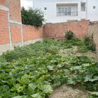 زمین-مسکونی