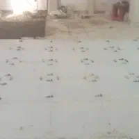 نصب کاشی و سرامیک  بنایی تخریب   رفع نم  گچکاری