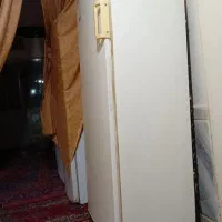 فریز کره ای  متور بسیار قوی جادار به ظمانت سلامت