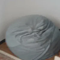 صندلی شنی